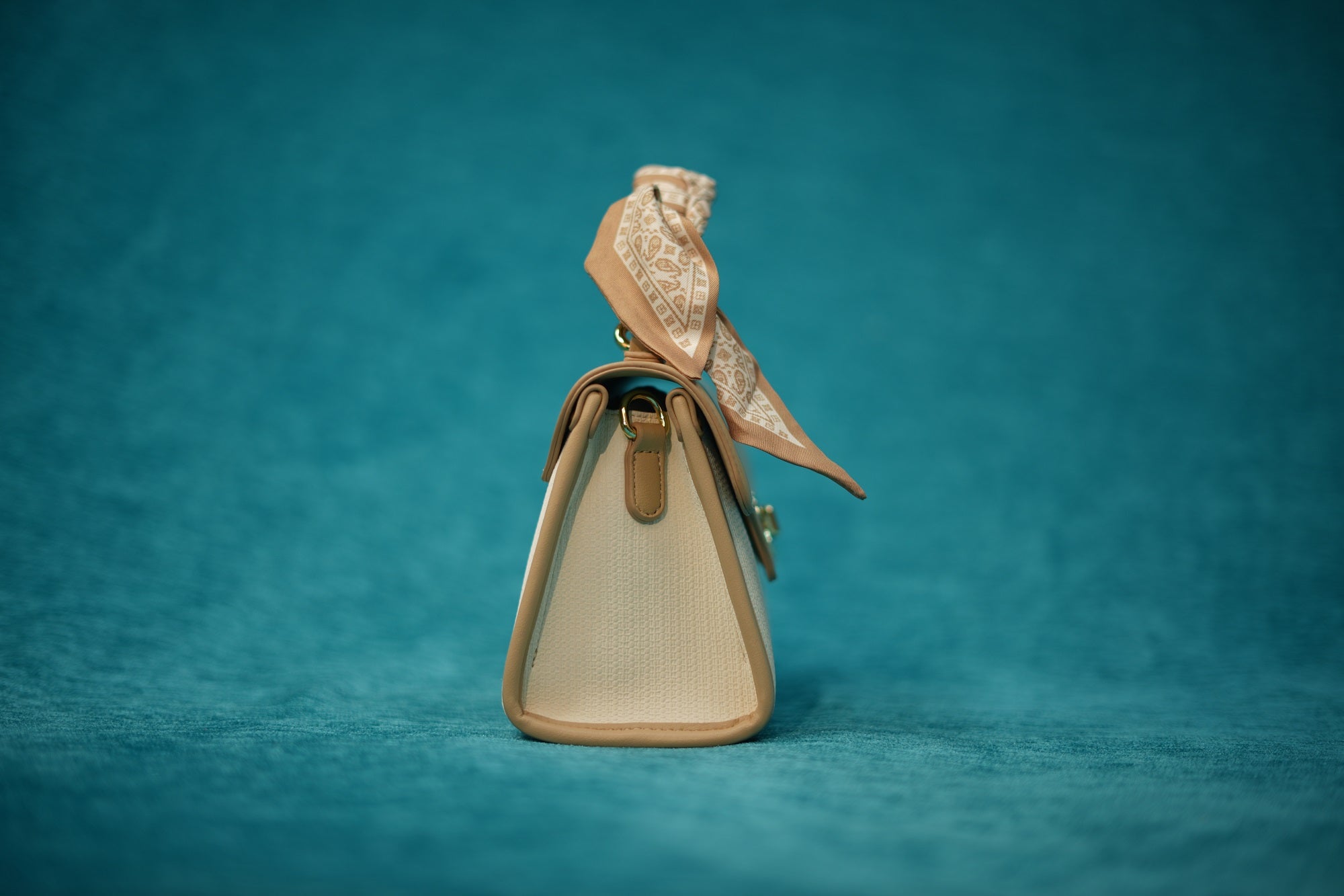 Reva Tan Twilly Minibag